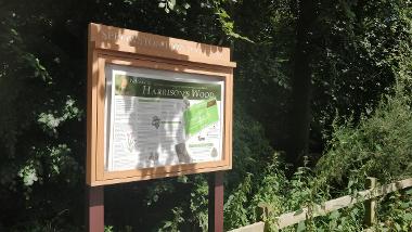 An information board in Harrison's Wood.